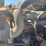 #2161-•-2015-mack-cxu600-sleeper-cab-truck-tractor-image-47