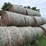 30-corn-stalk-bales-image-5