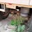 2003-wilson-grain-trailer-image-9