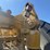 caterpillar-785b-image-50