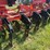 2013-krause-9-image-5