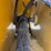 caterpillar-259d3-image-20