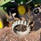 john-deere-7000-image-26