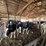#60000-•-29.92-acre-farm-with-home,-barns-&-outbuildings-image-104