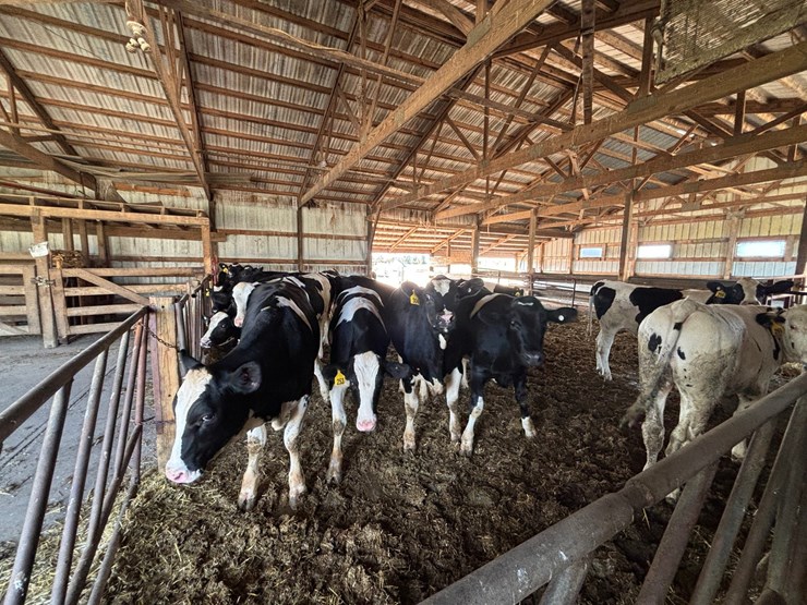 #60000-•-29.92-acre-farm-with-home,-barns-&-outbuildings-image-104