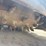 #5462-•-john-deere-cp24c-skid-steer-planer-attachment-image-20