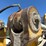 caterpillar-988-image-53