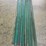 10-green-post-image-2