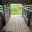1975-triggs-7ft-x-20ft-gooseneck-livestock-trailer-image-33