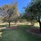 #60000-•-29.92-acre-farm-with-home,-barns-&-outbuildings-image-48