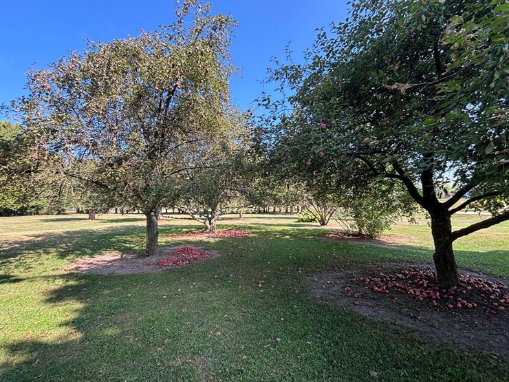 #60000-•-29.92-acre-farm-with-home,-barns-&-outbuildings-image-48