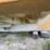 caterpillar-785b-image-16