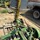 john-deere-350-image-16