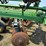 john-deere-230-image-11
