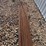 bundle-of-50-succor-rod-image-4