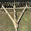 john-deere-van-brunt-12ft-drill-image-14