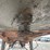 1992-homemade-log-trailer-image-9