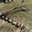 3pt-post-hole-digger-image-4