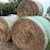 17-grass-round-bales-image-5