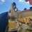 caterpillar-785b-image-38