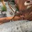 caterpillar-16-image-8