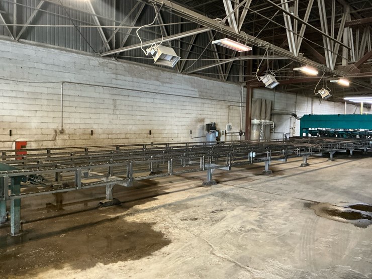 #123-•-froedge-machinery-4-strand-greenchain-image-2
