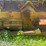caterpillar-d9r-image-32