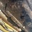 caterpillar-d4h-image-75