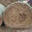 17-grass-round-bales-image-4