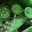 john-deere-s670-image-51