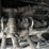 #60834-•-timberpro-830-forwarder-image-77
