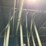 #190-•-2014-weinig-unimat-618-moulder-image-46