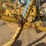 vermeer-v-rake-image-5