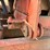 #61397-•-2017-ditch-witch-fx65-vac-trailer-image-38