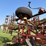 krause-6161-image-33