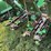 2009-john-deere-608c-image-33