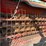 #2927-•-westfield-mk100-61-grain-auger-image-18