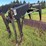 westendorf-ta28-image-7
