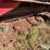 2019-massey-ferguson-wr9980-image-11