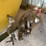 john-deere-220-image-4