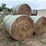 17-grass-round-bales-image-1