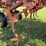 krause-6161-image-35
