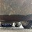 2012-bobcat-s850-image-51