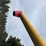 westfield-mk-100-81-grain-auger-image-12