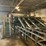 #120-•-automated-lumber-handling,-inc.-6’-lumber-stacker-image-4