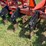 2013-krause-9-image-15