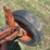 new-idea-6-bolt-gear-image-14