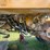 caterpillar-785b-image-32