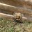 1200-gallon-poly-tank-image-7