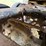 2000-freightliner-fld120-image-33